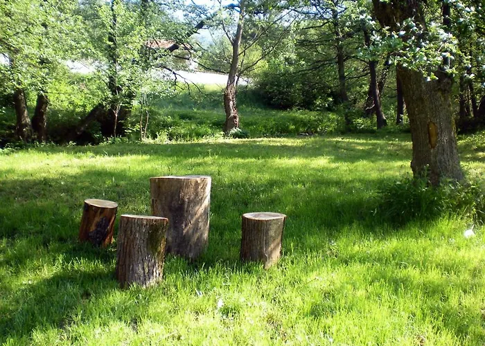 Paradise Place 칼로페르